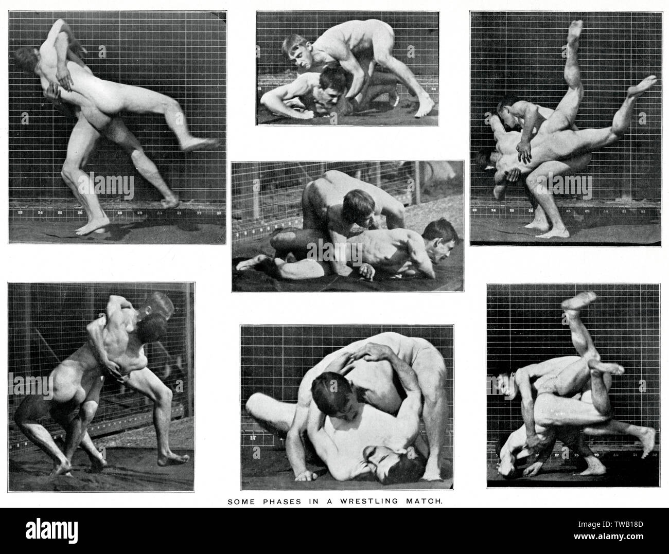 Muybridge -  Wrestling Stock Photo