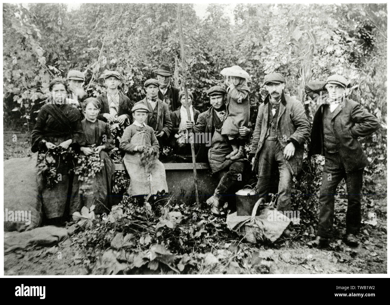 Hop pickers in Kent 1911 Stock Photo