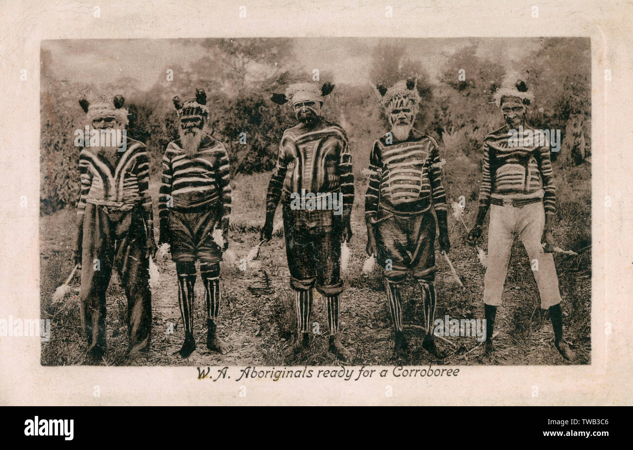 Western Australia, Australia - Five Australian Aborigine Elders ready for a  Corroboree (an an Australian Aboriginal dance
