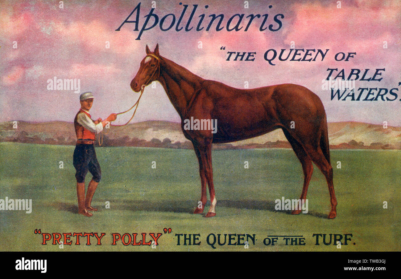 Horse Racing - 'Pretty Polly' - The Queen of the Turf - sponsored by Apollinaris, &quot;The Queen of Table Waters&quot;. Pretty Polly (1901-1931), was an outstanding Irish bred Thoroughbred racehorse and an outstanding broodmare. She won fifteen consecutive races and was only the fifth filly to win the British Fillies Triple Crown since its inception in 1814.     Date: circa 1905 Stock Photo