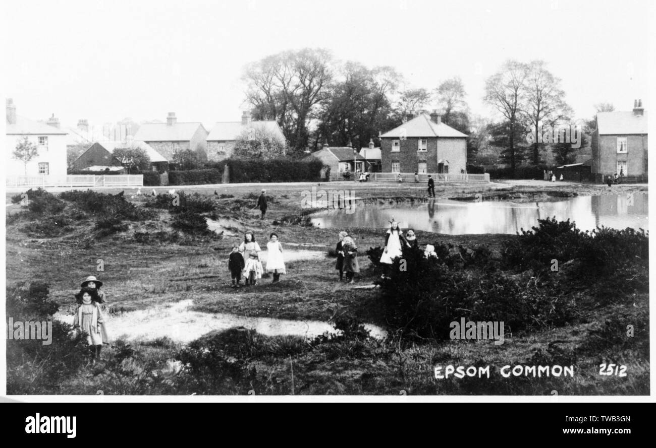 Epsom Common, Epsom, Surrey Stock Photo Alamy