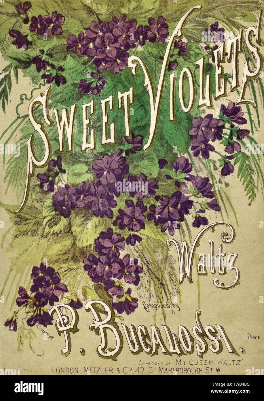 Music cover, Sweet Violets Waltz, by P Bucalossi Stock Photo