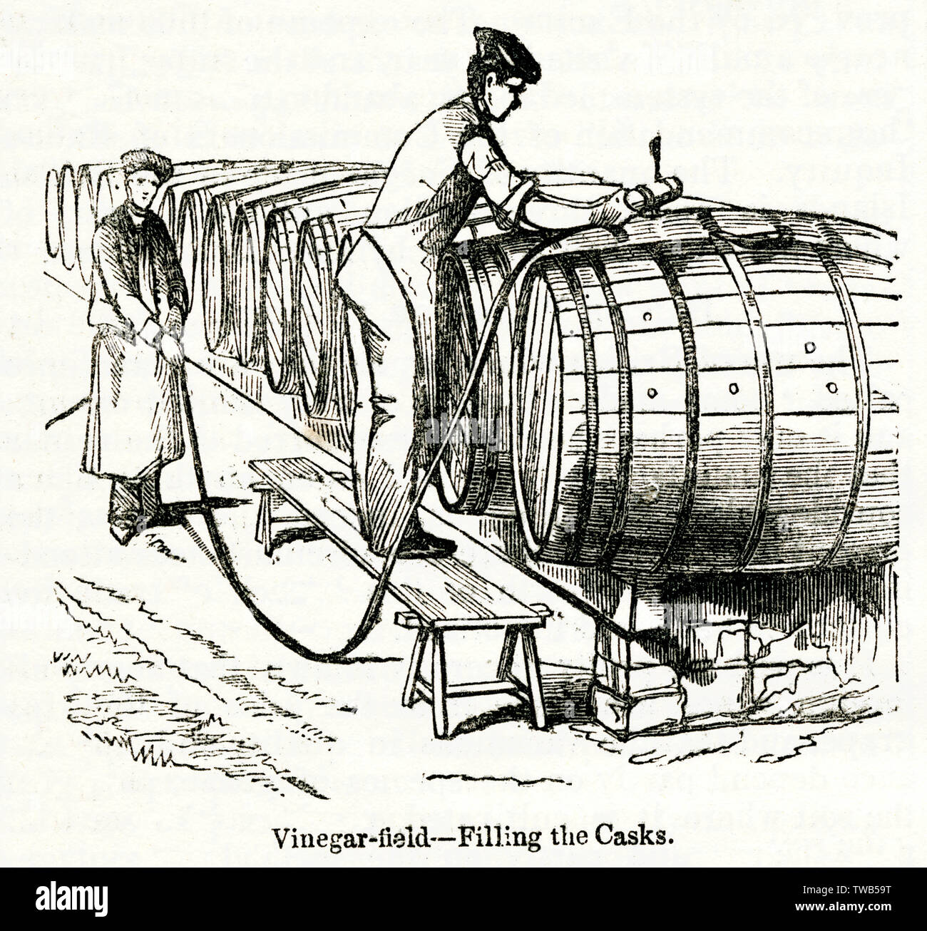 Scene inside a vinegar and wine factory, South London Stock Photo - Alamy