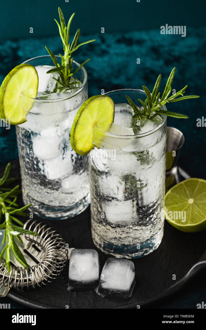 classic gin and tonic cocktail with rosemary sprigs in tall glasses on