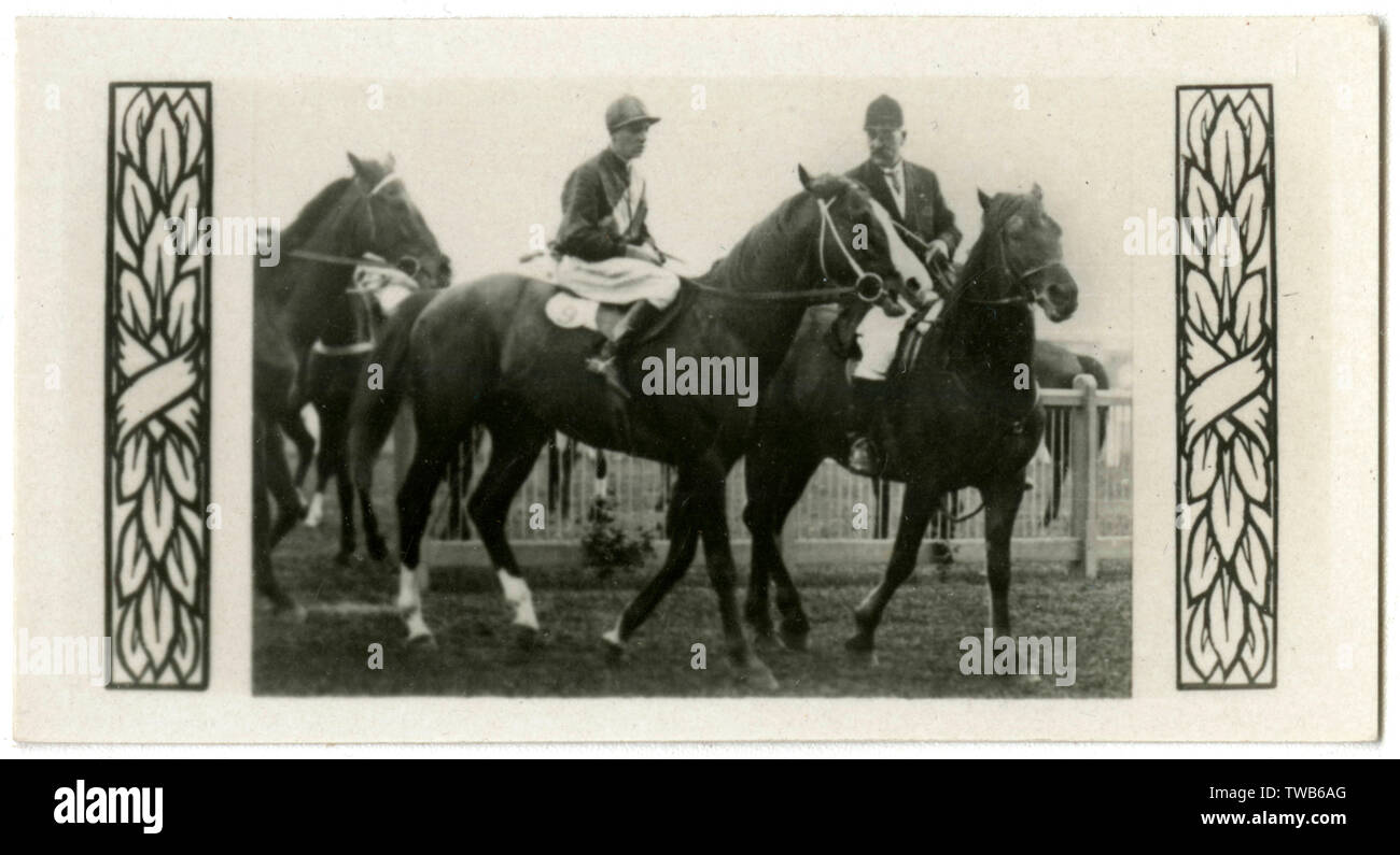 Textile, Australian race horse Stock Photo
