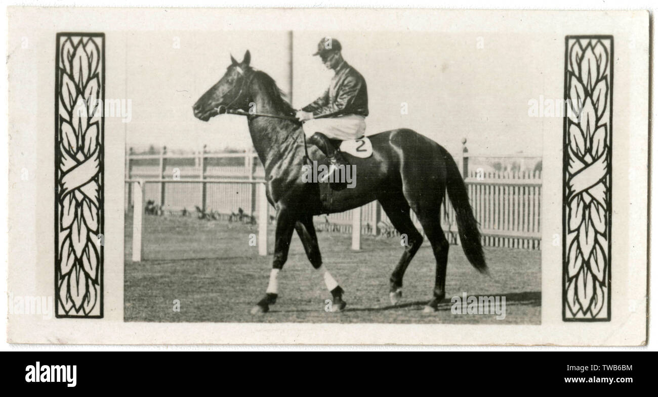 Australian jockey hires stock photography and images Alamy