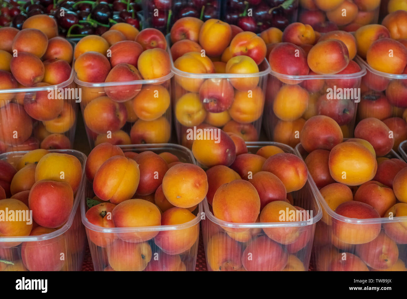 baskets of ripe apricots for sale in the steet shop. Stock Photo
