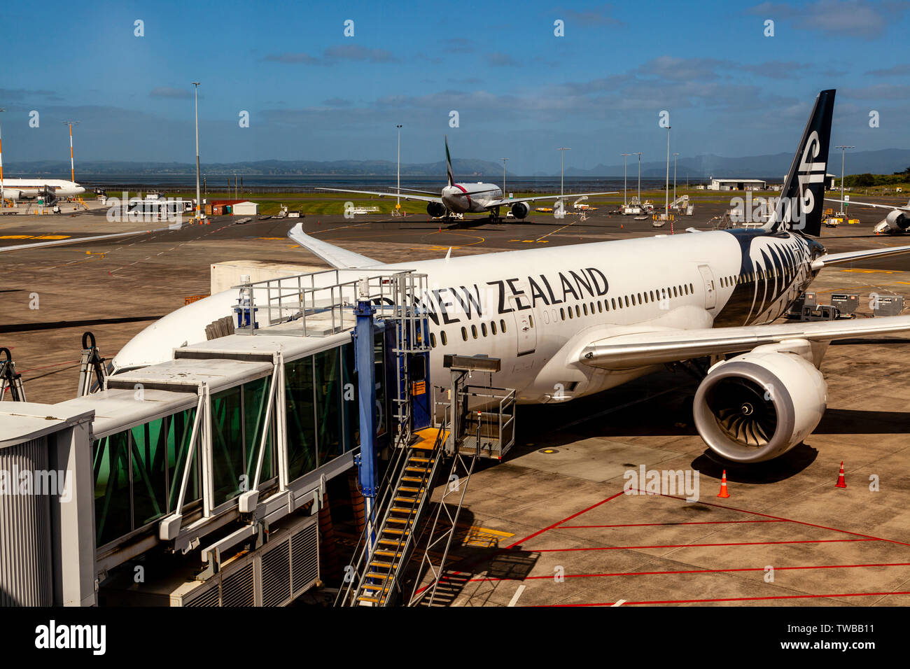 Air New Zealand Airplane, Auckland International Airport, North Island, New Zealand Stock Photo