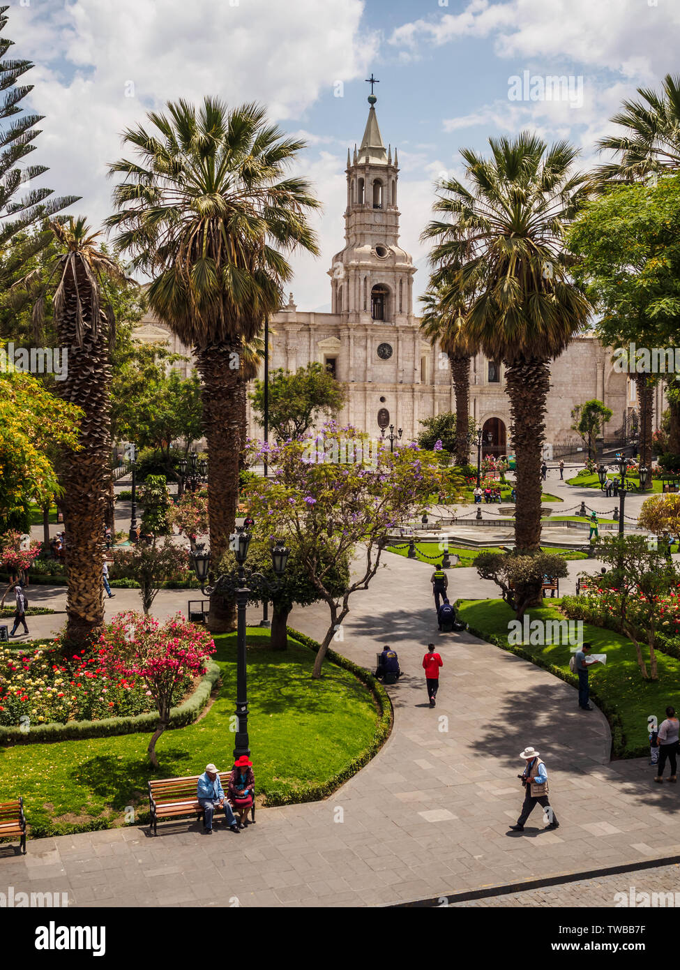 Plaza de armas of the city of Arequipa in southern Peru. The cathedral and palm trees Stock Photo