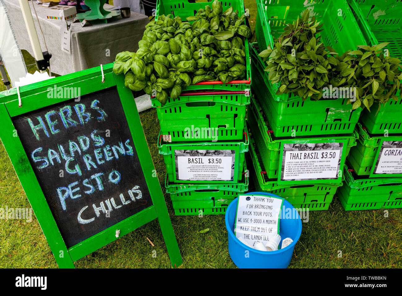 Fresh Herbs For Sale At The Mount Maunganui Farmers Market, North Island, New Zealand Stock Photo