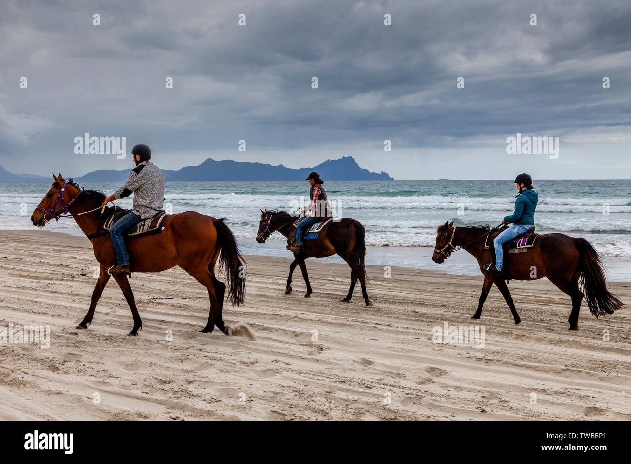 People Horseriding At Waipu Cove, Bream Bay, North Island, New Zealand Stock Photo