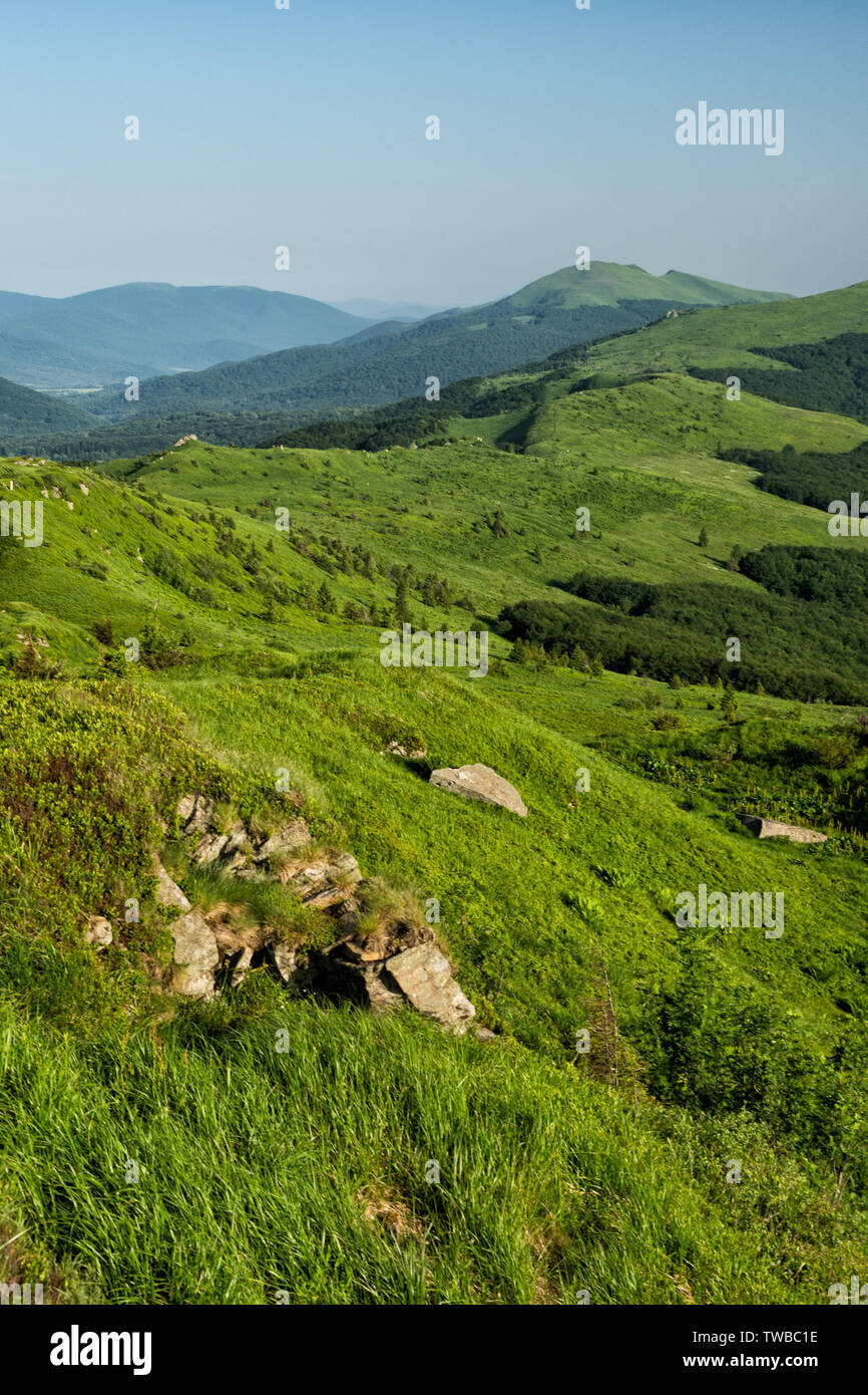 A typical summer landscape of the Bieszczady National Park. Green alpine meadow and forests and blue sky. Polonina Bukowska. Stock Photo