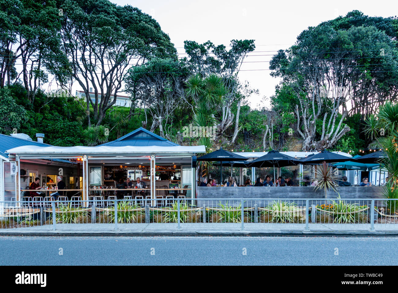 The 2024 cove cafe