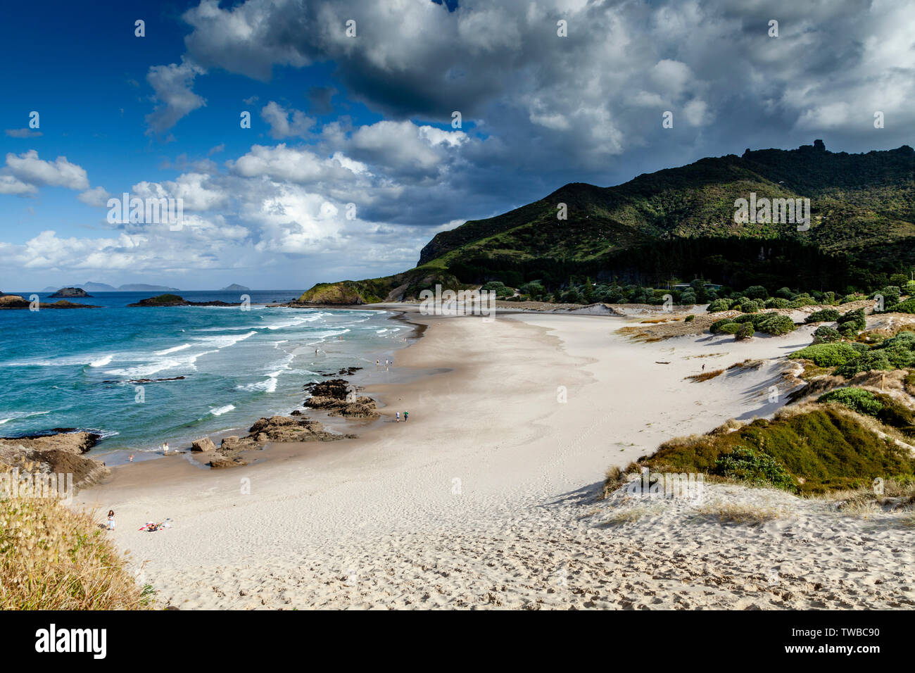 Ocean Beach, Whangarei Heads, North Island, New Zealand Stock Photo Alamy