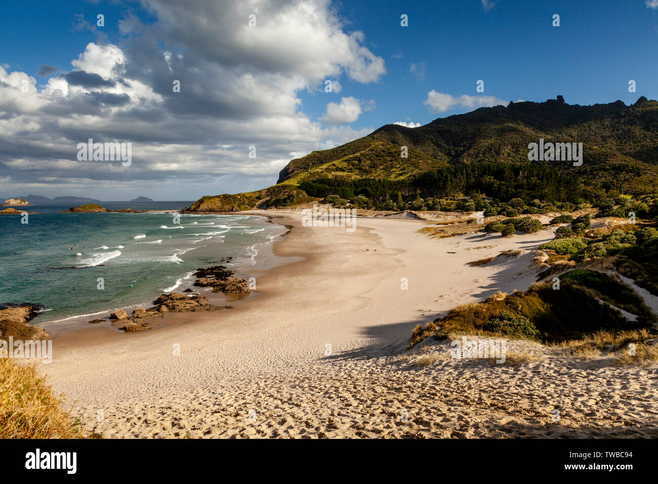 Ocean Beach, Whangarei Heads, North Island, New Zealand Stock Photo Alamy