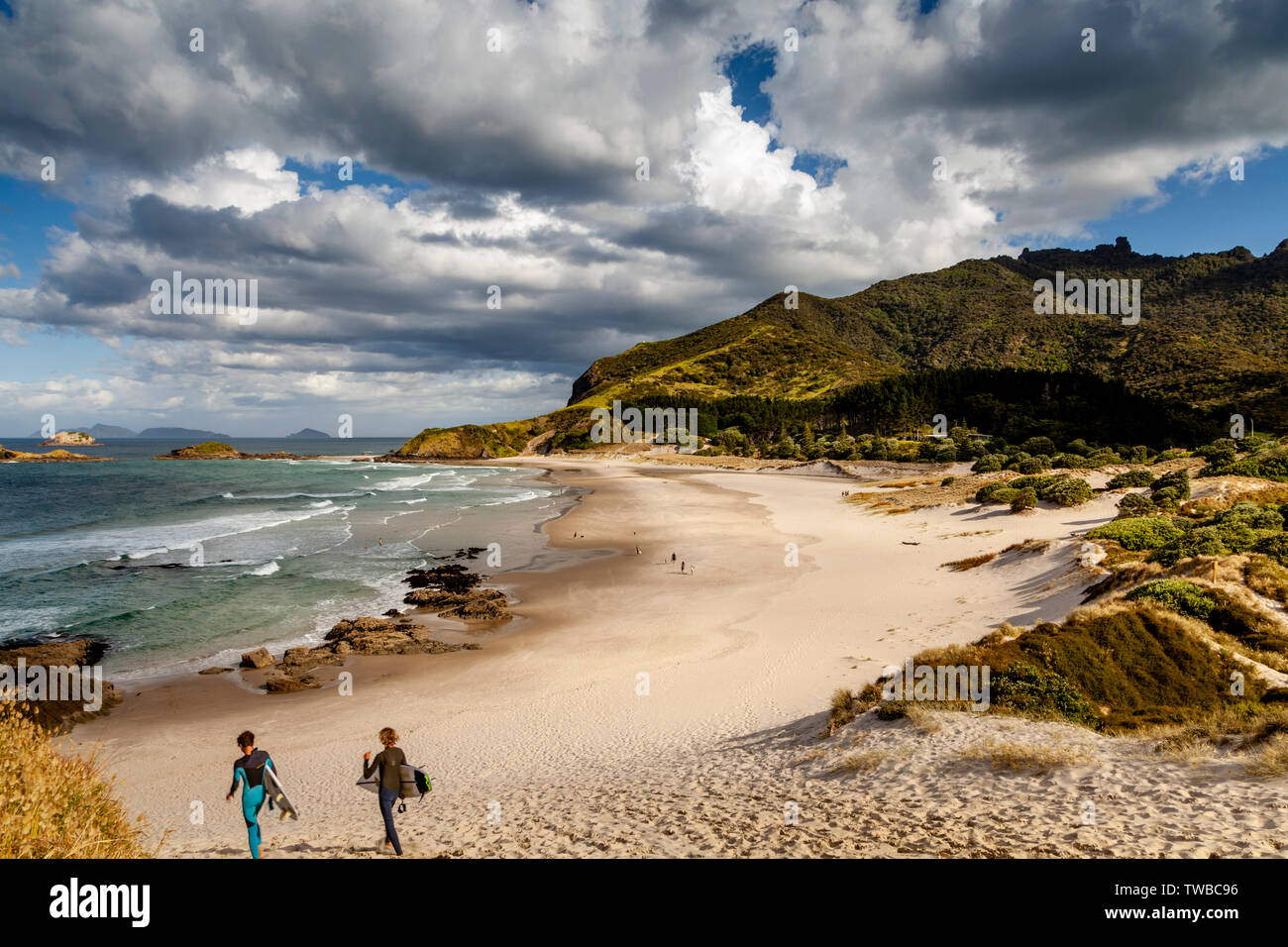 Ocean Beach, Whangarei Heads, North Island, New Zealand Stock Photo Alamy