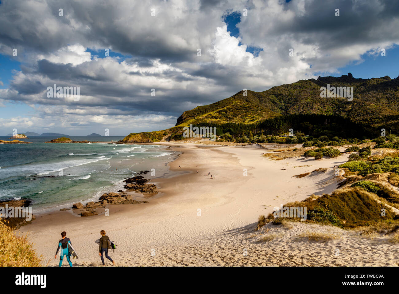 Ocean Beach, Whangarei Heads, North Island, New Zealand Stock Photo Alamy
