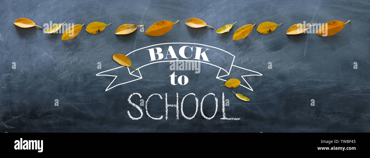 Top view banner of text sketch BACK TO SCHOOL with autumn gold dry ...