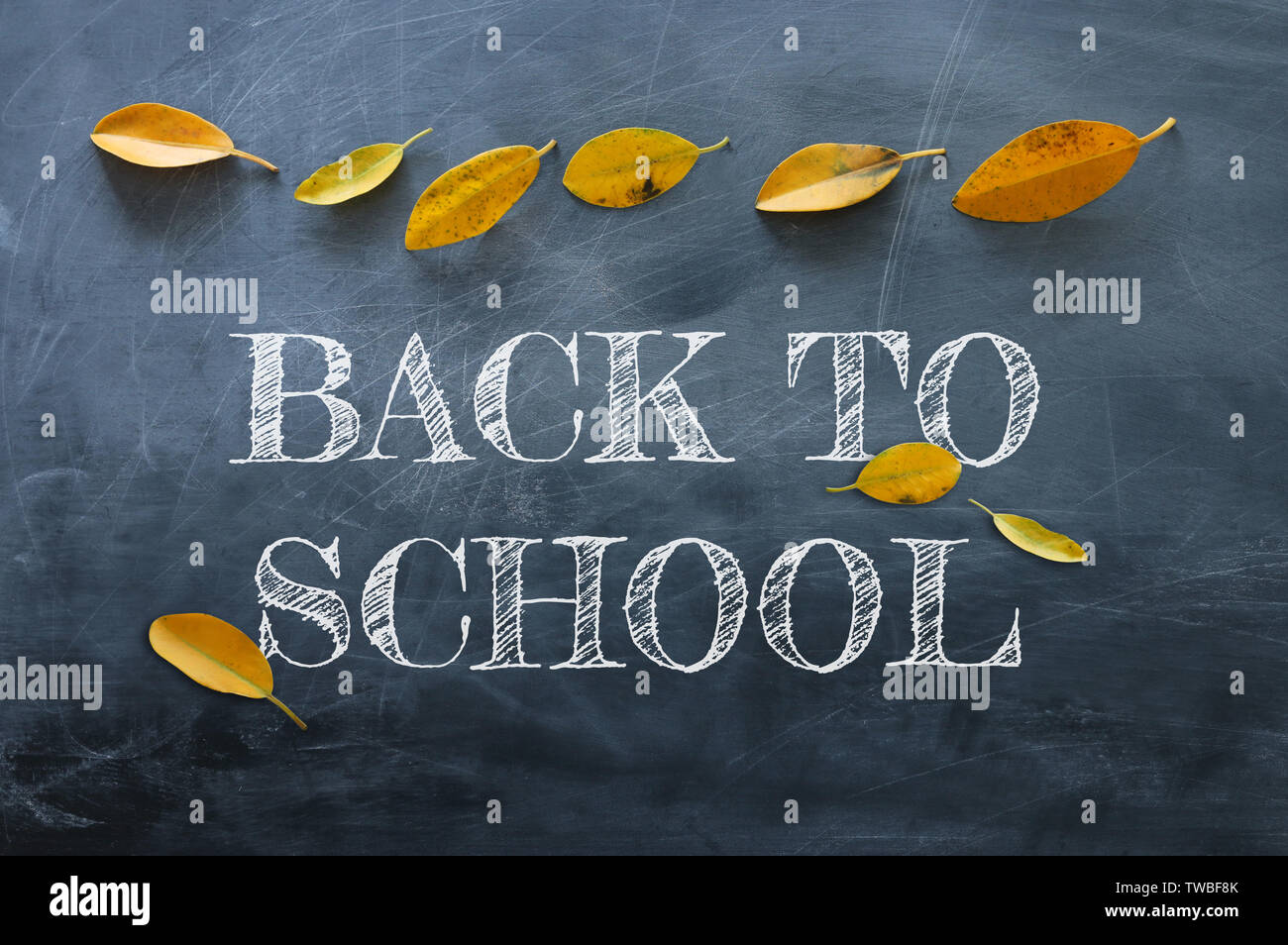 Top view banner of text sketch BACK TO SCHOOL with autumn gold dry ...