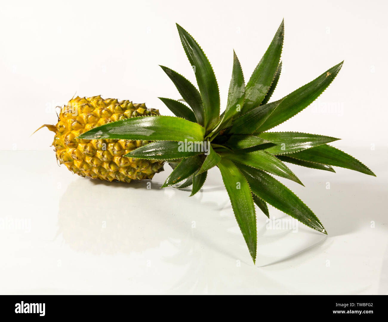 'Fruits of Bangladesh' on Pinterest. See more ideas ... Roselle (plant) - Wikipedia, the free encyclopedia Cash Crop, Antonio Garcia, .... pineapples Stock Photo