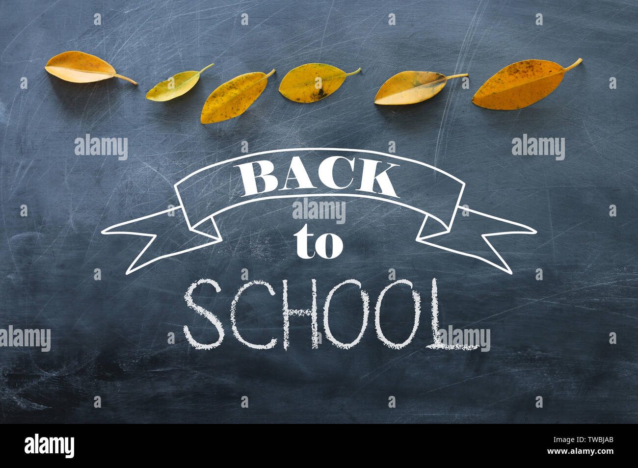 Top view banner of text sketch BACK TO SCHOOL with autumn gold dry ...