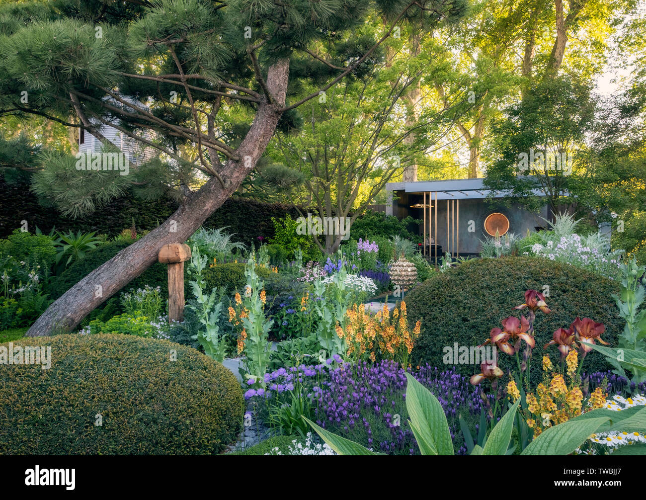 The Morgan Stanley Garden at the Chelsea Flower Show in London, UK. Stock Photo