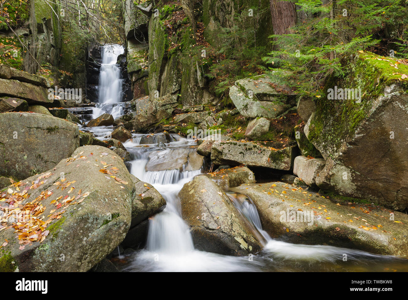 Great brook trail hires stock photography and images Alamy
