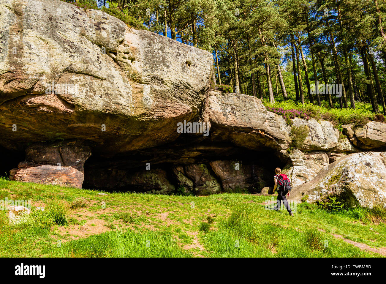 A female walker heading into St Cuthbert's Cave, a well-known site along the St Cuthbert's Way footpath. Holburn, Northumberland, UK. June 2017. Stock Photo