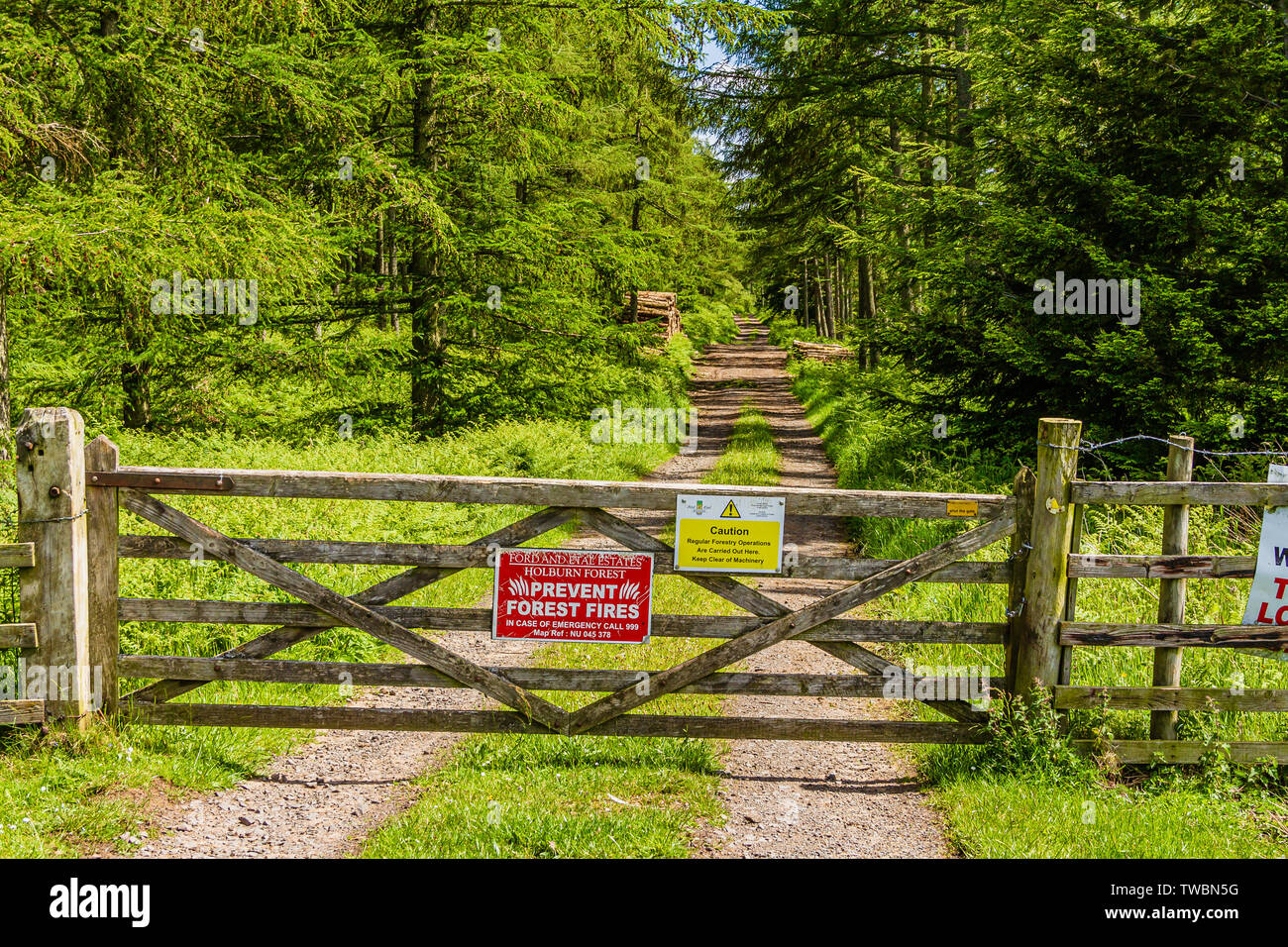 Sign on forest gate warning walkers, forestry workers and other users of the risk of starting a forest fire. Holburn, Northumberland, UK. June 2019. Stock Photo