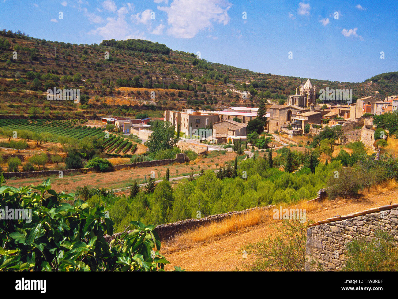 Overview. Vallbona de les Monges, Lerida province, Catalonia, Spain. Stock Photo