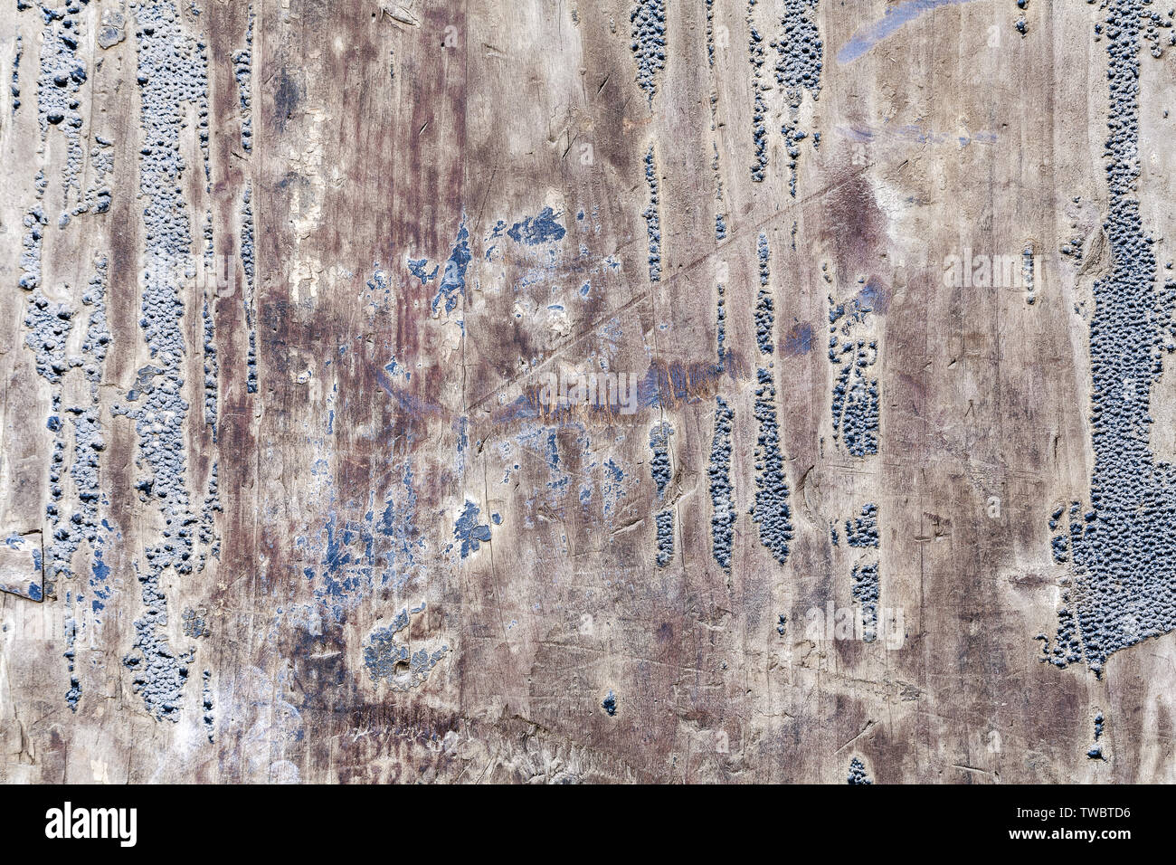 Tale wooden door plate texture Stock Photo