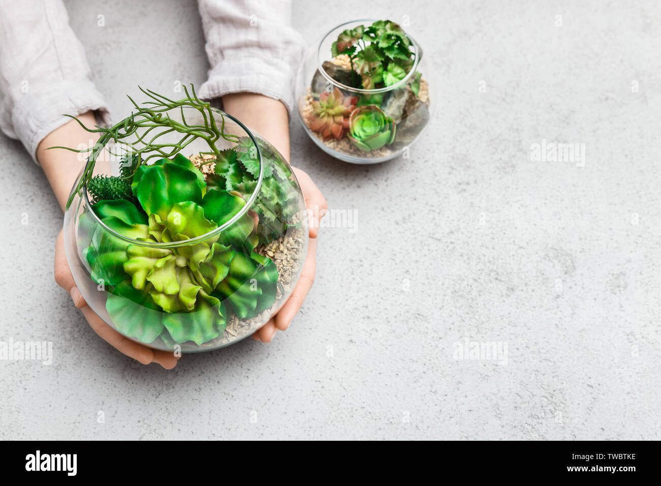Woman S Hands Holding Mini Succulent Garden In Glass Florarium