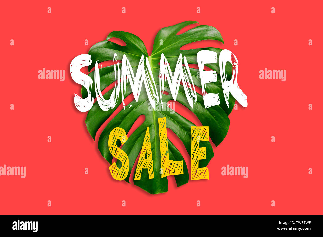 Discount background design with jungle palm leaves. Colorful banner with tropical leaf on a red background. Summer sale banner. Discount background de Stock Photo