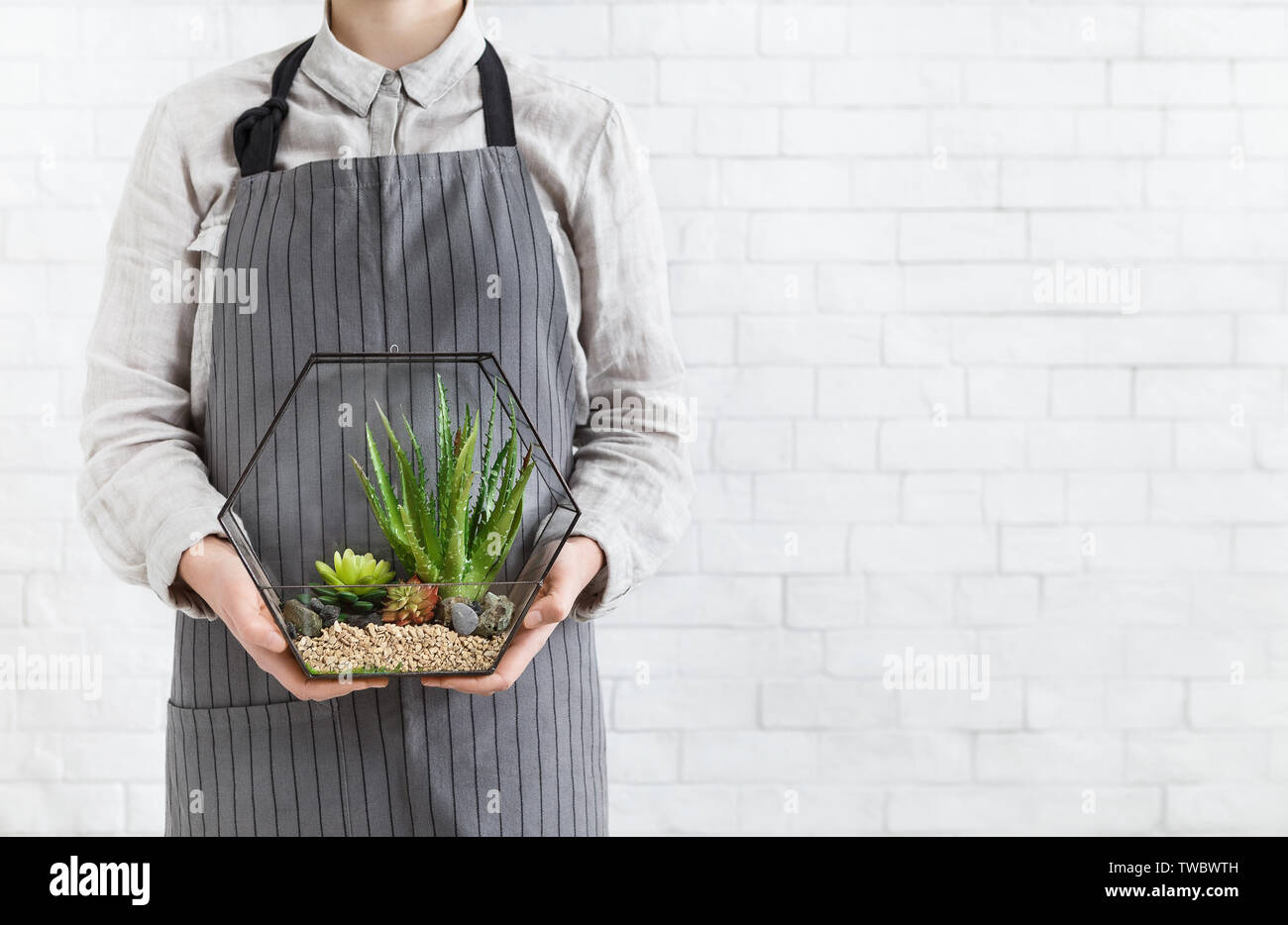 Woman Holding Mini Succulent Garden In Geometric Glass Florarium