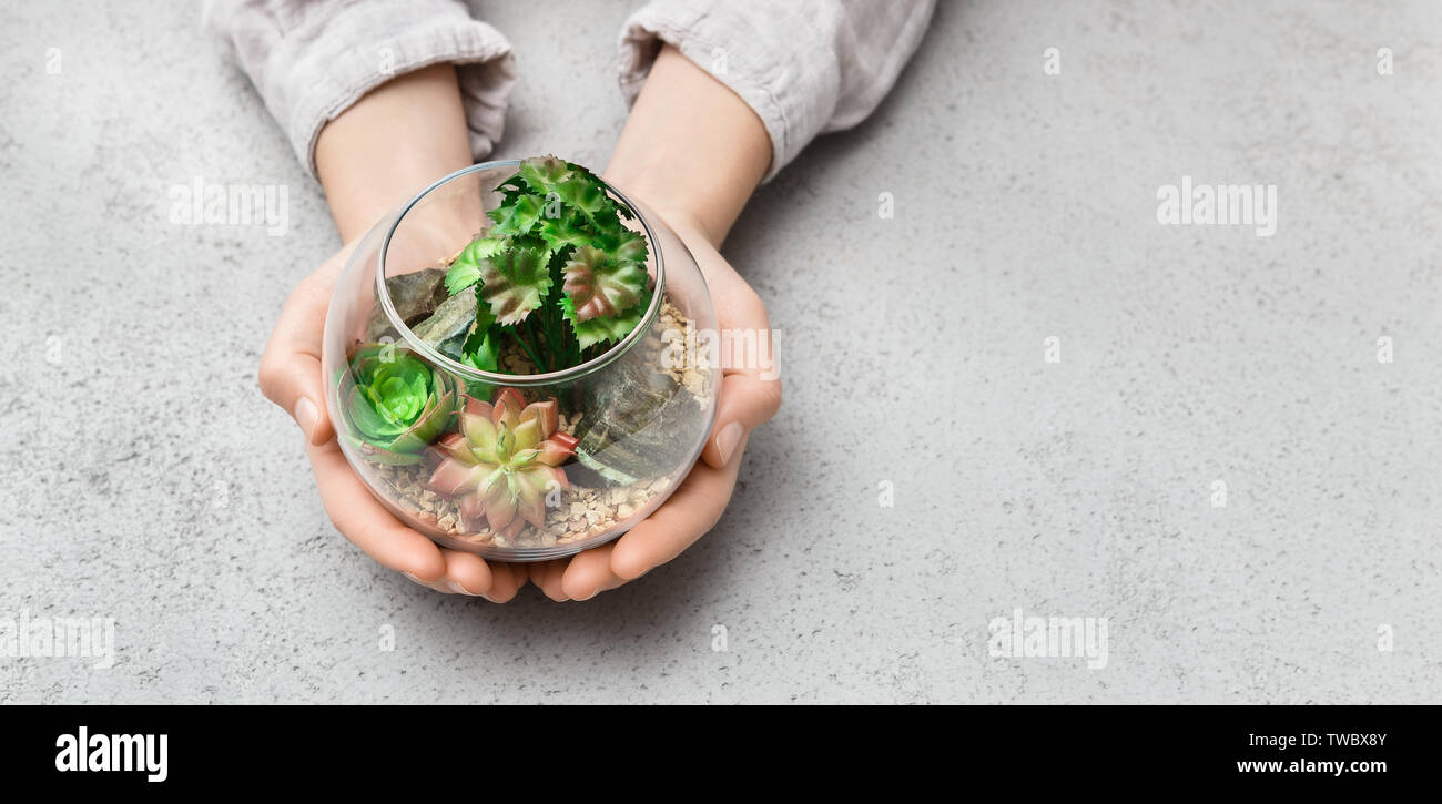 Woman S Hands Holding Mini Succulent Garden In Glass Florarium