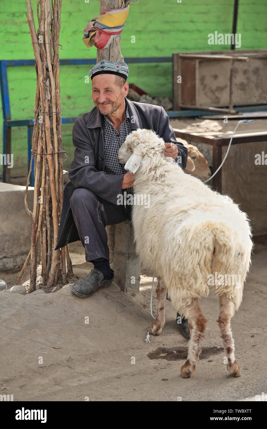 Smiling livestock handler sitting with his sheep. Hotan Livestock Market-Xinjiang-China-0167 Stock Photo