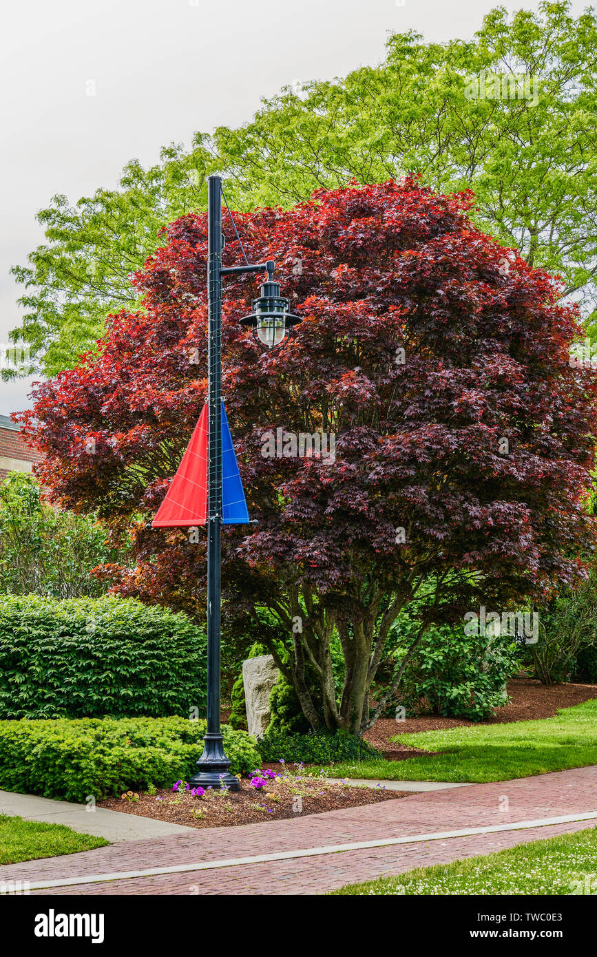 Hyannis village hires stock photography and images Alamy