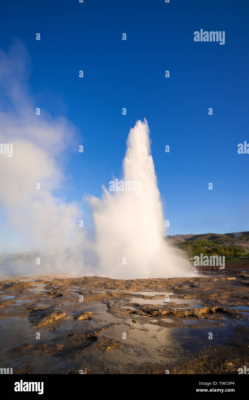 Eruption of the Geysir geyser. Valley Haukadalur, Iceland. Golden Ring Tourist Attraction. Sunny day with clear blue sky. Amazing nature Stock Photo