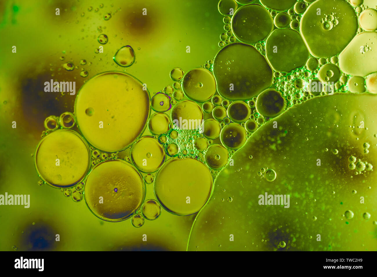 Oil bubbles inside water base form patterns Stock Photo - Alamy