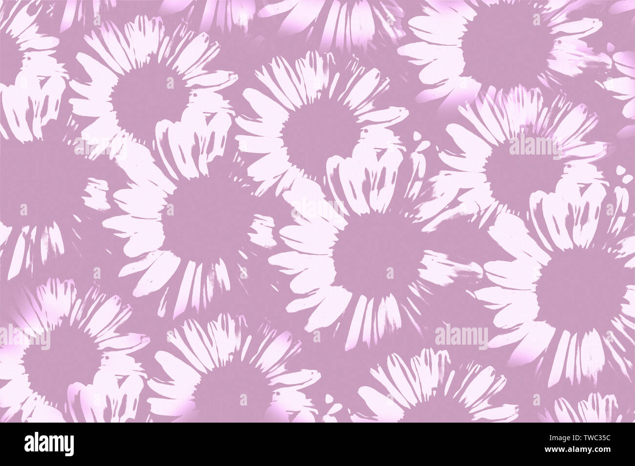 Artistic illustrations of daisies. Great for book covers, magazines, backgrounds etc. Stock Photo