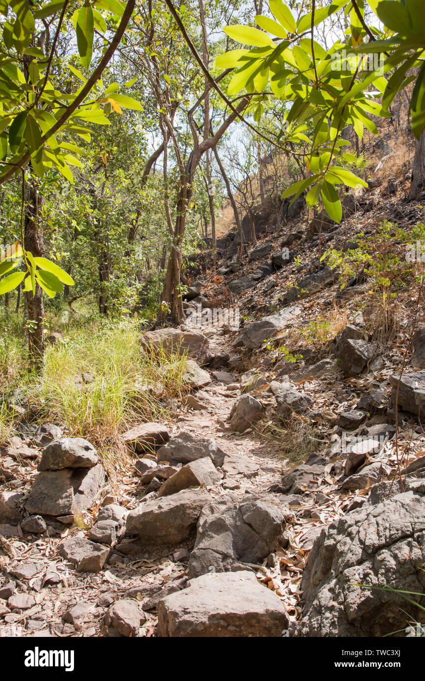 Rocky footpath with native bushland on the path to Robin Falls in the ...
