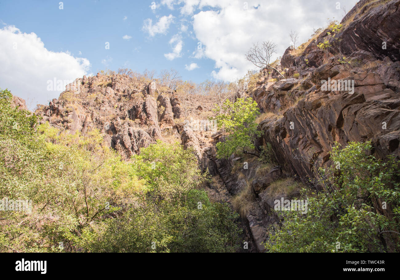 Rugged cliff and forest growth by Robin Falls in the Northern Territory of Australia Stock Photo