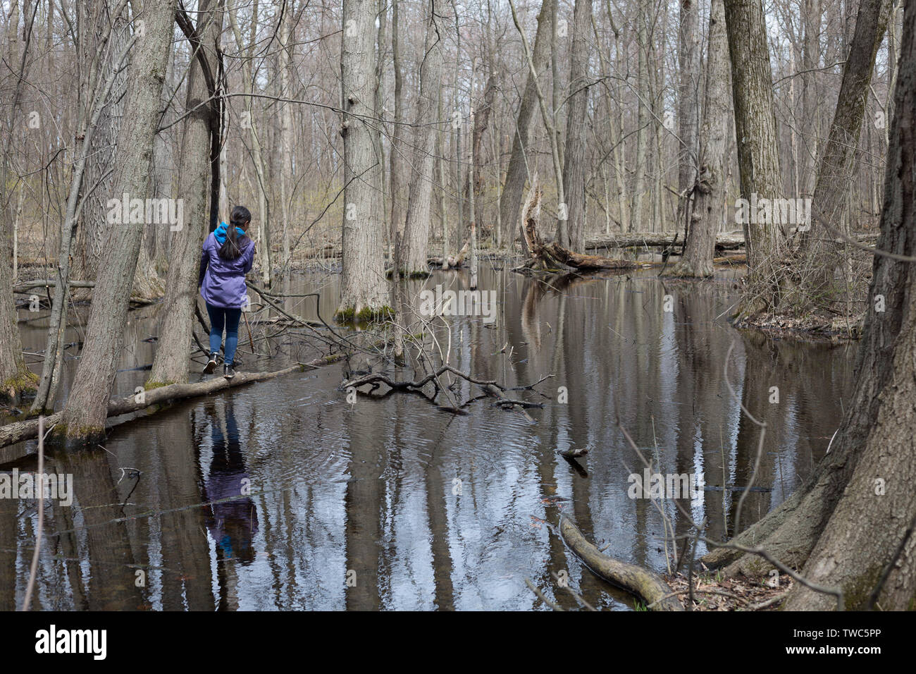 A teenage girl plays in the swampy wooded forest of the Mengerson Nature Preserve in Fort Wayne, Indiana, USA. Stock Photo