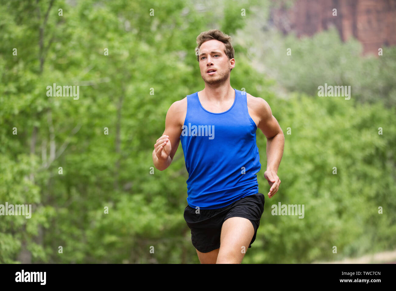 Sport running fitness man training towards goals. Fit male runner sprinting and jogging training outside in forest for marathon run. Muscular handsome Caucasian model in his 20s. Stock Photo