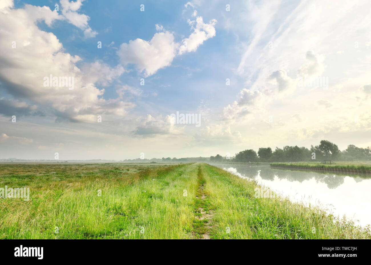 green grass meadow and beautiful sky in summer Stock Photo - Alamy