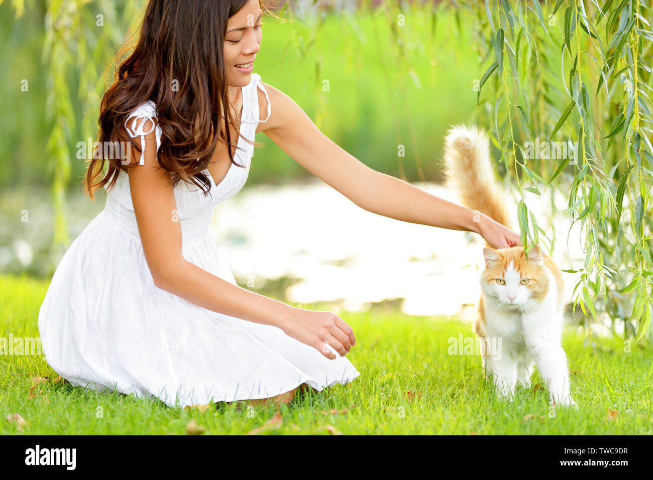 Person petting cat hires stock photography and images Alamy