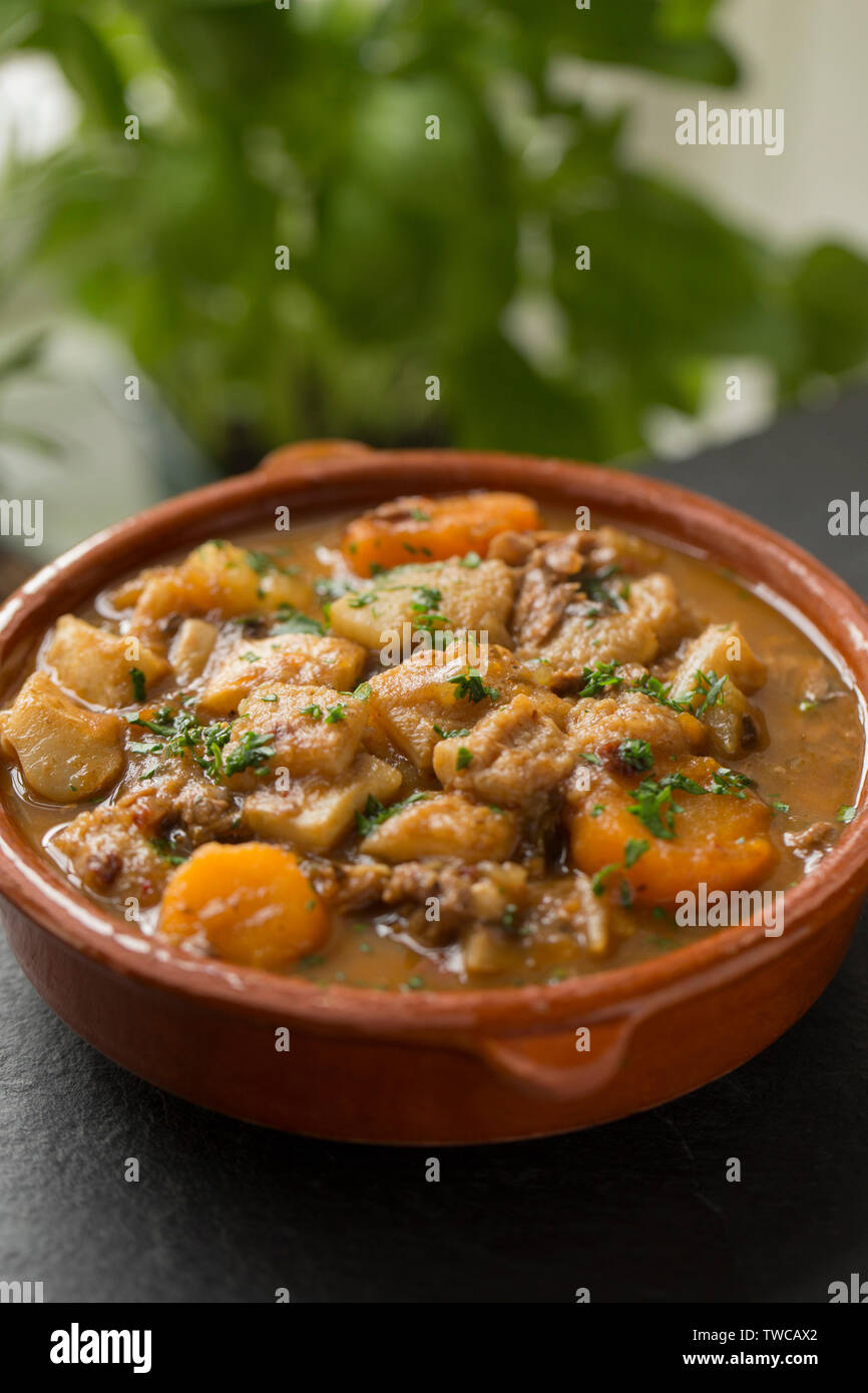A meat stew made from roe deer venison, vegtables and herbs to which cubes of ox tripe have been added. England UK GB Stock Photo