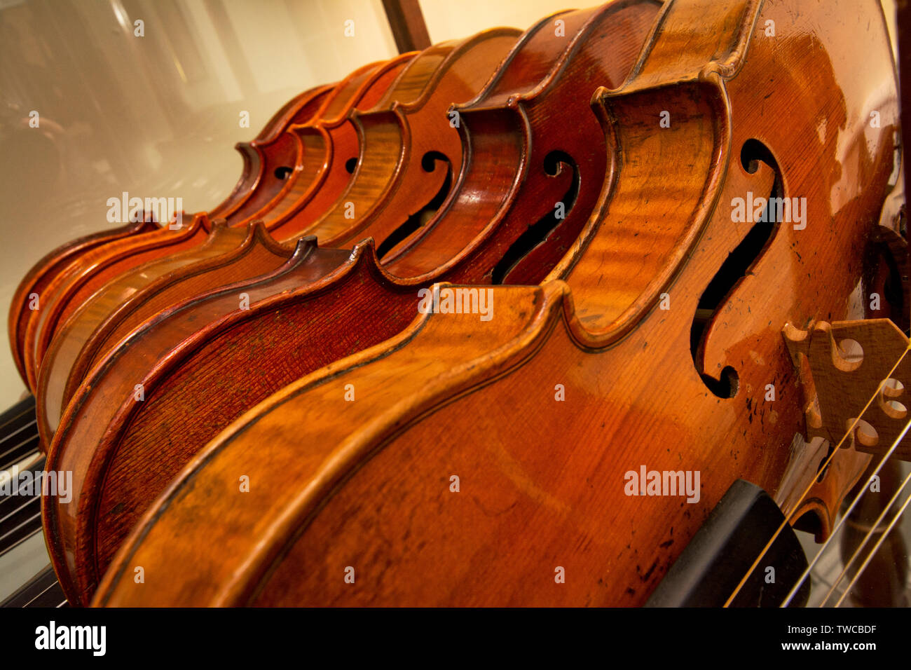 Group of Violins string musical handcrafted instruments together Stock