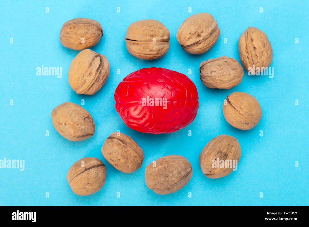 Walnuts like healthy food for the brain. Shape of human brain is