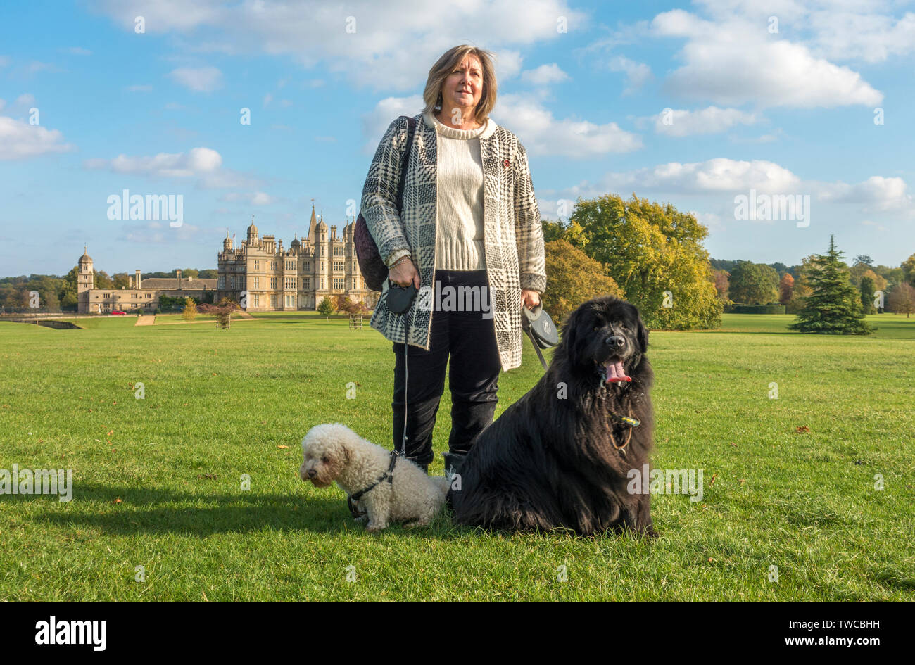Elegant mature woman standing with her two dogs - a Bichon Frise and a Newfoundland - on grass near historic Burghley House. Stamford, England, UK. Stock Photo